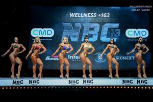 WELLNESS +163